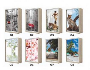 Шкаф-купе Хит 22-4-18/2-777 (фотопечать) в Екатеринбурге - ok-mebel.com | фото 2