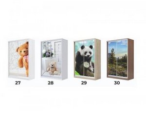 Шкаф-купе Хит 22-4-18/2-777 (фотопечать) в Екатеринбурге - ok-mebel.com | фото 5