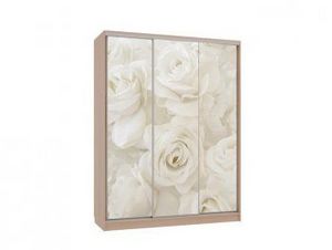 Шкаф-купе Бассо 7-600 Розы в Екатеринбурге - ok-mebel.com | фото 3