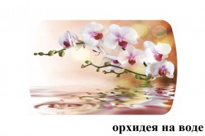 БОСТОН - 3 Стол раздвижной Орхидея на воде 1100/1420 опоры Триумф в Екатеринбурге - ok-mebel.com | фото 2
