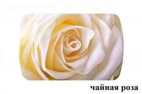 БОСТОН опоры Брифинг в Екатеринбурге - ok-mebel.com | фото 27