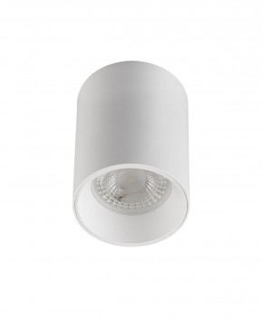 DK3110-WH Светильник накладной IP 20, 10 Вт, GU5.3, LED, белый, пластик в Екатеринбурге - ok-mebel.com | фото