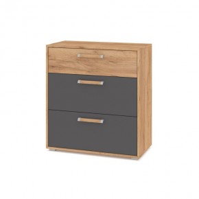 ФЛОРИДА Ф41 Комод (дуб золотой/графит) в Екатеринбурге - ok-mebel.com | фото