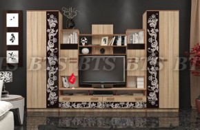 Гостиная Багира (Каштан) в Екатеринбурге - ok-mebel.com | фото 1