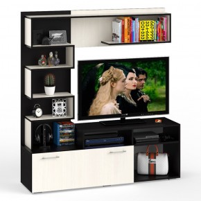 Гостиная Евро, цвет венге/дуб лоредо, ШхГхВ 166х43,6х182 см., ниша для ТВ 100х43х89 см., НЕ универсальная сборка в Екатеринбурге - ok-mebel.com | фото 1