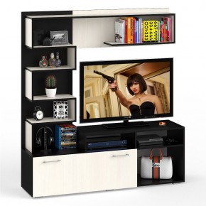 Гостиная Евро, цвет венге/дуб лоредо, ШхГхВ 166х43,6х182 см., ниша для ТВ 100х43х89 см., НЕ универсальная сборка в Екатеринбурге - ok-mebel.com | фото 2