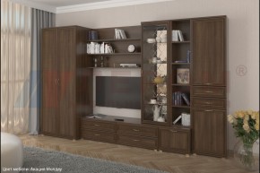 Гостиная Карина Композиция 11 (Акация Молдау) в Екатеринбурге - ok-mebel.com | фото