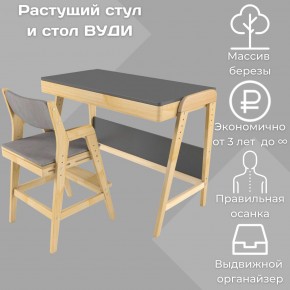 Комплект растущий стол и стул с чехлом 38 попугаев «Вуди» (Серый, Без покрытия, Серый) в Екатеринбурге - ok-mebel.com | фото 1