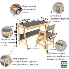 Комплект растущий стол и стул с чехлом 38 попугаев «Вуди» (Серый, Без покрытия, Серый) в Екатеринбурге - ok-mebel.com | фото 3