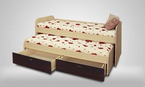 Кровать 2-х ярусная выкатная №15 с ящиками (ЛДСП) в Екатеринбурге - ok-mebel.com | фото 1