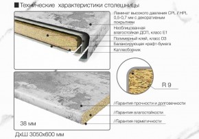 Кухонный фартук со столешницей (А-01) в едином стиле (3050 мм) в Екатеринбурге - ok-mebel.com | фото 6