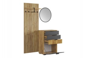 МЕБЕЛЬСОН К3 Прихожая в Екатеринбурге - ok-mebel.com | фото 12