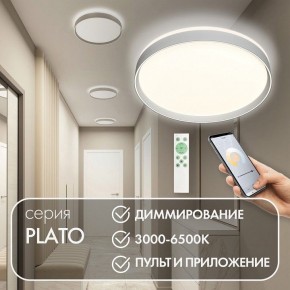 Накладной светильник Denkirs PLATO DK6511-WH/1 в Екатеринбурге - ok-mebel.com | фото 4