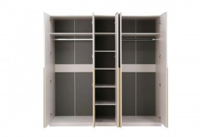 НИКОЛЬ 25 Шкаф 5-ти створчатый в Екатеринбурге - ok-mebel.com | фото 3