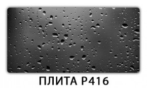 Обеденный стол Паук с фотопечатью узор Доска D111 в Екатеринбурге - ok-mebel.com | фото 19