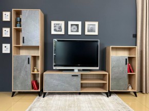 ОСКАР TRIO Гостиная (дуб золотой/каспий темный) в Екатеринбурге - ok-mebel.com | фото 2