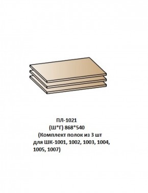 ПЛ-1021 (Комплект полок из 3 шт для ШК-1001, 1002, 1003, 1004, 1005, 1007) в Екатеринбурге - ok-mebel.com | фото