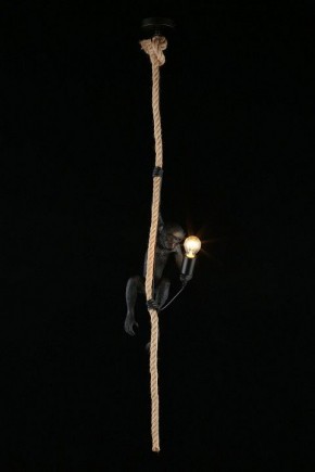 Подвесной светильник Aployt Magali APL.309.16.01 в Екатеринбурге - ok-mebel.com | фото 3