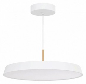 Подвесной светильник Arlight ELEGANT 033924(1) в Екатеринбурге - ok-mebel.com | фото 2