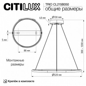 Подвесной светильник Citilux Trio CL215B050 в Екатеринбурге - ok-mebel.com | фото 9