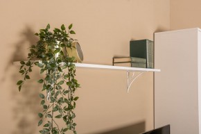 Полка 15.45 Миндаль в Екатеринбурге - ok-mebel.com | фото 2