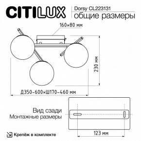 Потолочная люстра Citilux Dorsy CL223131 в Екатеринбурге - ok-mebel.com | фото 11