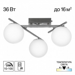 Потолочная люстра Citilux Dorsy CL223131 в Екатеринбурге - ok-mebel.com | фото 3