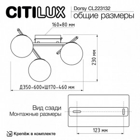 Потолочная люстра Citilux Dorsy CL223132 в Екатеринбурге - ok-mebel.com | фото 12