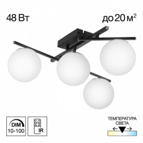 Потолочная люстра Citilux Dorsy CL223142 в Екатеринбурге - ok-mebel.com | фото 9