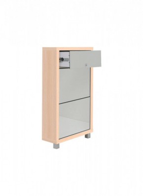 Шкаф 2-х секционный ЛЮКС-2 ПЛЮС (фасад Зеркало) ЛДСП Стандарт в Екатеринбурге - ok-mebel.com | фото 5