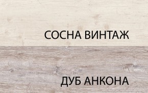 Шкаф 2D1S, MONAKO, цвет Сосна винтаж/дуб анкона в Екатеринбурге - ok-mebel.com | фото