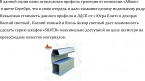 Шкаф-купе 1300 серии SILVER S4+S3Z+B2+PL1 (2 ящика+1 штанга) профиль «Серебро» в Екатеринбурге - ok-mebel.com | фото 6