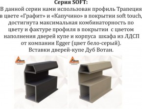 Шкаф-купе 1800 серии SOFT D1+D3+B2+PL1 (2 ящика+1штанга) профиль «Графит» в Екатеринбурге - ok-mebel.com | фото 11