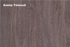 ФЕНИКС 02 Шкаф-купе в Екатеринбурге - ok-mebel.com | фото 2