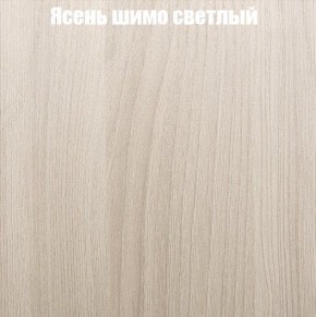 Шкаф-купе «ТАНДЕМ» 2-х дверный в алюминиевом профиле (Дверь К+К) 1200/h2200 в Екатеринбурге - ok-mebel.com | фото 6