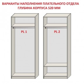 Шкаф распашной серия «ЗЕВС» (PL3/С1/PL2) в Екатеринбурге - ok-mebel.com | фото 9