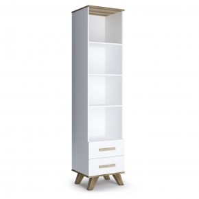 Шкаф-стеллаж 450 Вега Скандинавия в Екатеринбурге - ok-mebel.com | фото 3