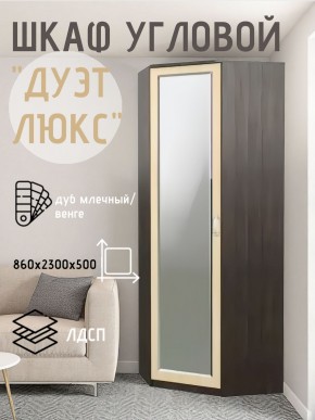 Шкаф угловой Дуэт Люкс с зеркалом в Екатеринбурге - ok-mebel.com | фото 5