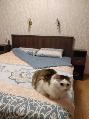 Спальня Шерлок орех шоколадный орех шоколадный в Екатеринбурге - ok-mebel.com | фото 2