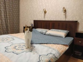 Спальня Шерлок орех шоколадный орех шоколадный в Екатеринбурге - ok-mebel.com | фото 5