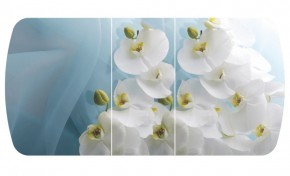 Стол Бостон-3 (Белая Орхидея) 1100/1420*700, опора Брифинг в Екатеринбурге - ok-mebel.com | фото 2