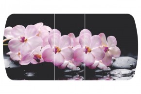 Стол Бостон-3 (Розовая Орхидея) 1100/1420*700, опора Брифинг в Екатеринбурге - ok-mebel.com | фото 2