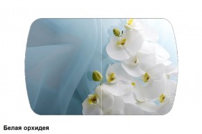 Стол Бостон 900*600 (опоры Брифинг) Стекло/фотопечать Белая Орхидея в Екатеринбурге - ok-mebel.com | фото