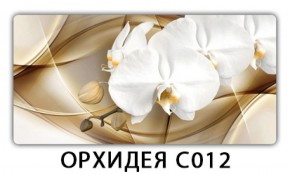 Стол раздвижной Трилогия с фотопечатью Орхидея C012 в Екатеринбурге - ok-mebel.com | фото 13