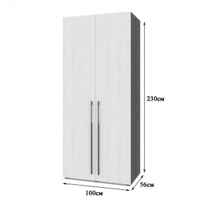 СТОУН С22 Шкаф 2-х створчатый (золотой дуб/графит) в Екатеринбурге - ok-mebel.com | фото 2