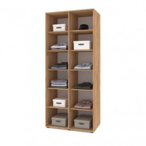 СТОУН С23 Шкаф 2-х створчатый (дуб золотой/графит) в Екатеринбурге - ok-mebel.com | фото 3