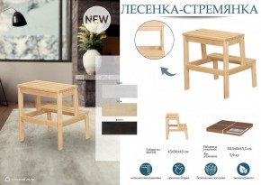 Табурет Стремянка в Екатеринбурге - ok-mebel.com | фото 3