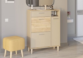 Тумба для обуви 2-24.21дкз/кап (Дуб Крафт Золотой/Капучино) в Екатеринбурге - ok-mebel.com | фото 5