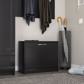 Тумба ОРИОН с одной полкой для обуви, цвет Дуб Венге в Екатеринбурге - ok-mebel.com | фото 4