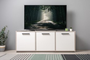 Тумба под ТВ 13.283.02 Винтаж в Екатеринбурге - ok-mebel.com | фото 3